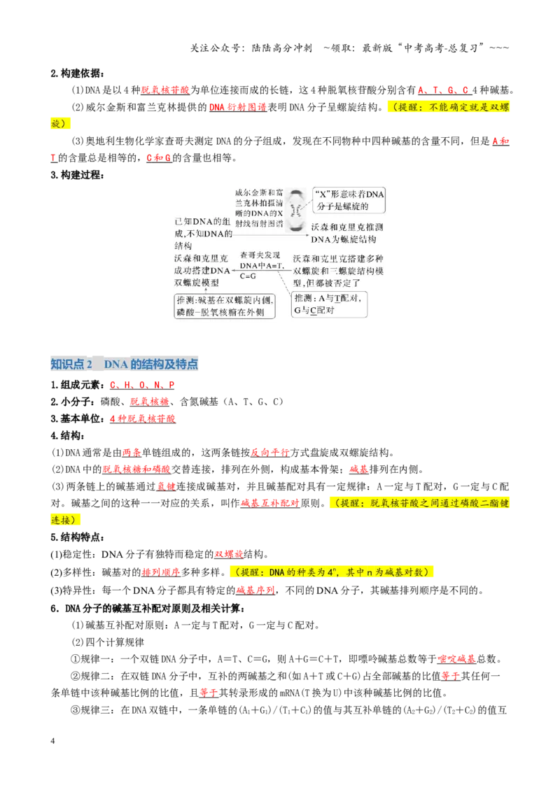 《第20讲DNA的结构、复制与基因的本质（复习讲义）（全国通用）（解析版）_06-生物-高考总复习_一轮复习_2026年-生物高考一轮复习_2026版_第六单元遗传的分子基础》第4页预览