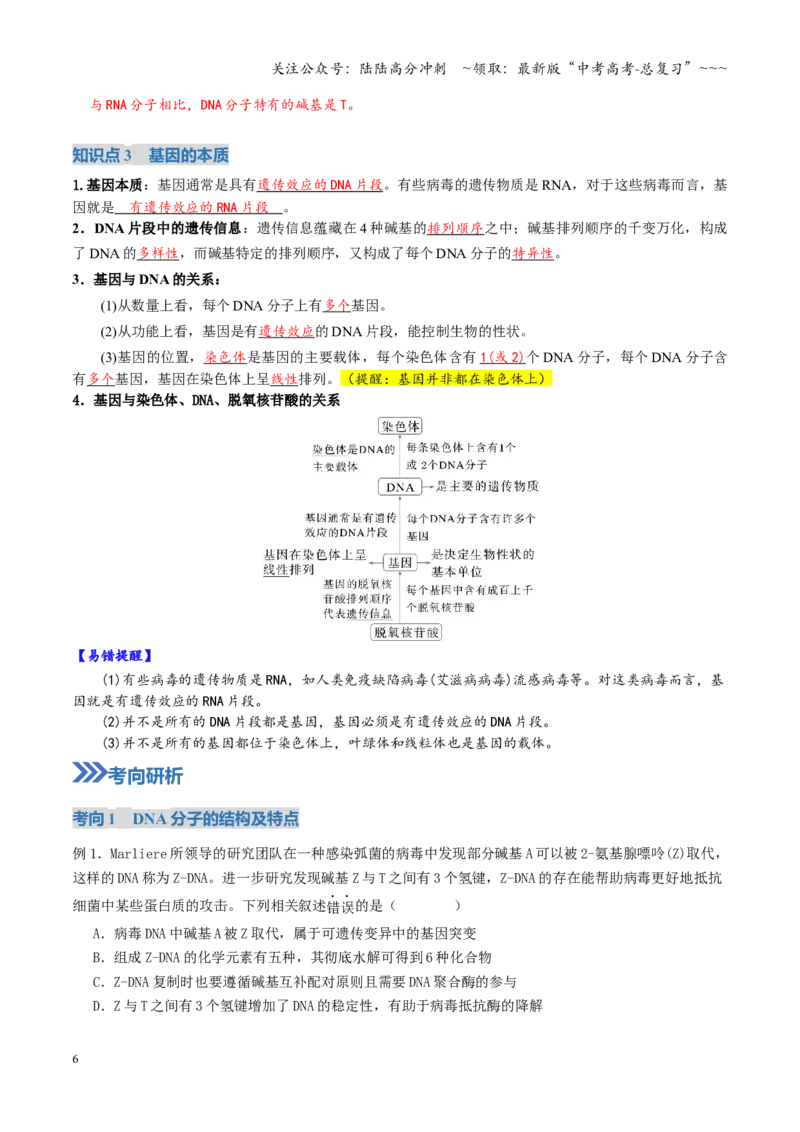 《第20讲DNA的结构、复制与基因的本质（复习讲义）（全国通用）（解析版）_06-生物-高考总复习_一轮复习_2026年-生物高考一轮复习_2026版_第六单元遗传的分子基础》第6页预览