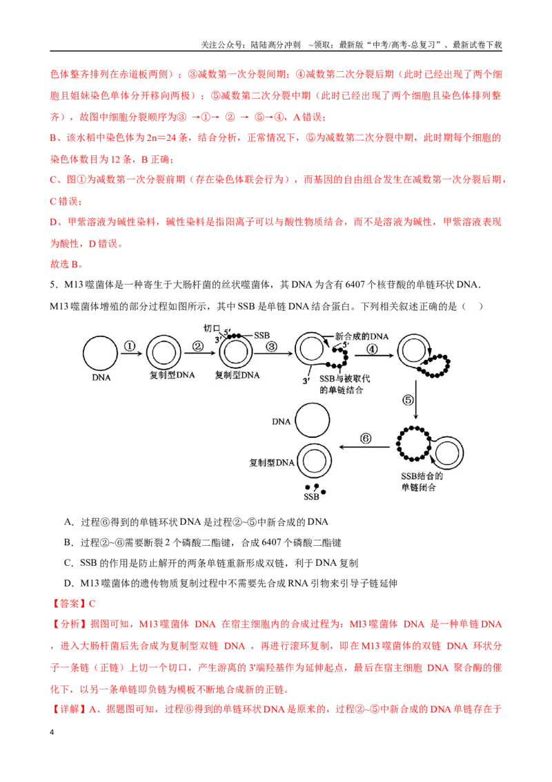 《生物（江苏卷01）（全解全析）_06-生物-高考总复习_专项复习_2025年_2025年高考第一二三次模拟卷（多地区）生物_2025年高考生物第二次模拟卷26套_生物（江苏卷01）》第4页预览