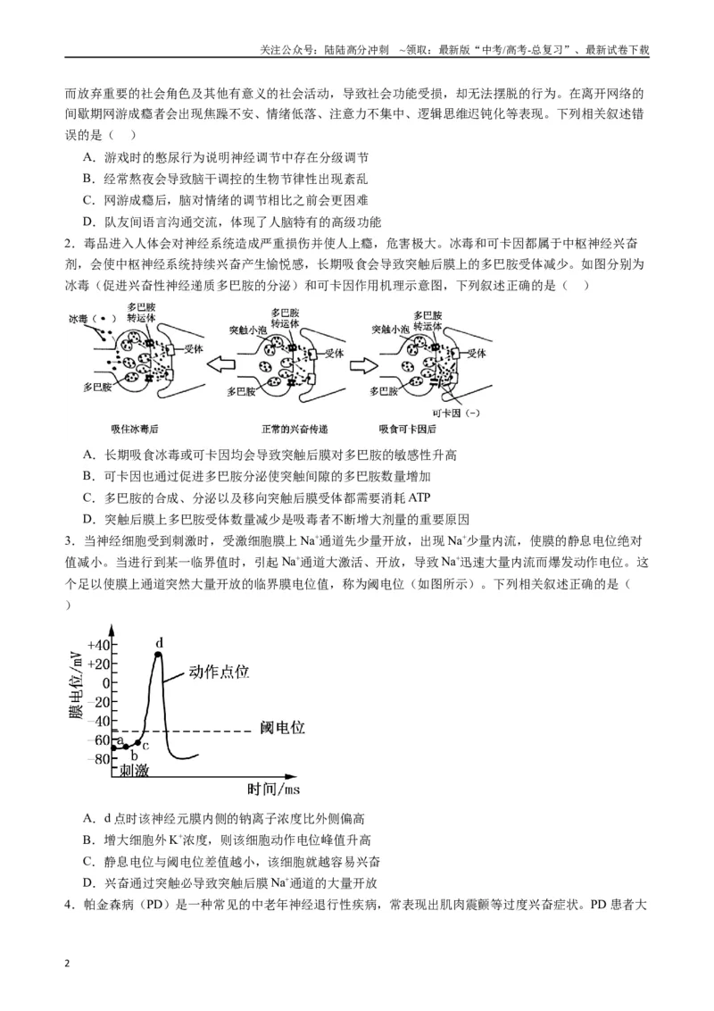《专题17神经调节（原卷版）_06-生物-高考总复习_专项复习_2024年_2024年高考生物经典小题必刷_资料》第2页预览