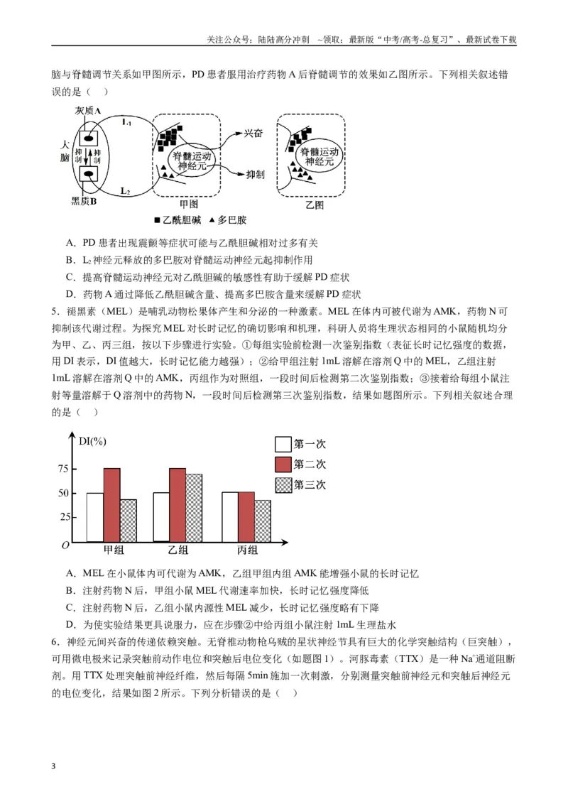 《专题17神经调节（原卷版）_06-生物-高考总复习_专项复习_2024年_2024年高考生物经典小题必刷_资料》第3页预览