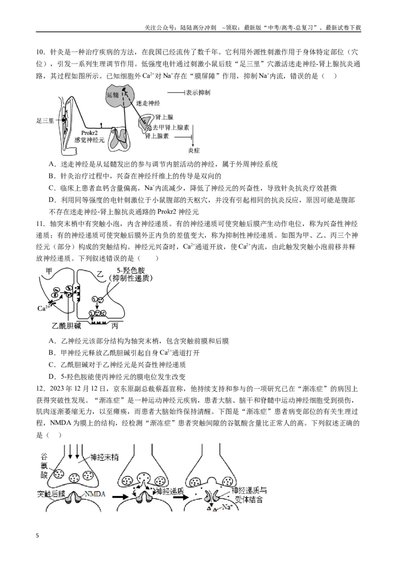 《专题17神经调节（原卷版）_06-生物-高考总复习_专项复习_2024年_2024年高考生物经典小题必刷_资料》第5页预览