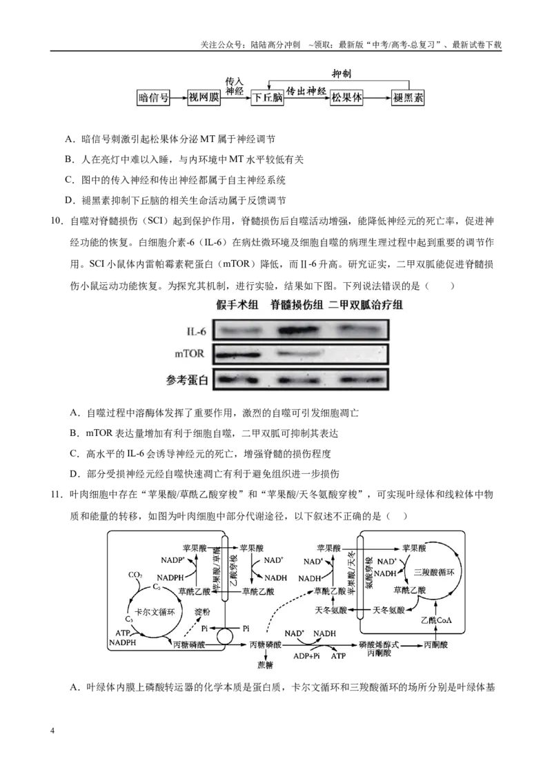 《生物（江西卷）（考试版）_06-生物-高考总复习_专项复习_2025年_2025年高考第一二三次模拟卷（多地区）生物_2025年高考生物第三次模拟考试21套_生物（江西卷）》第4页预览