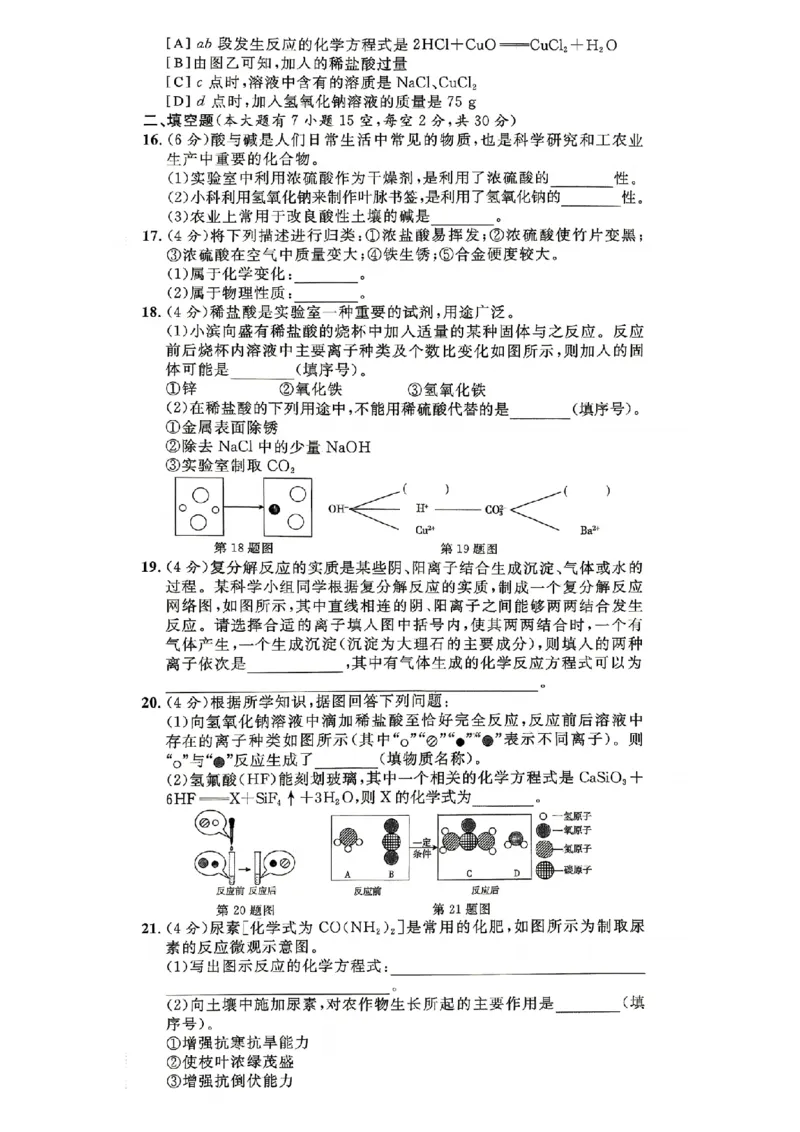 《单元项目高分评价_26秋小学初中各机构教辅大合集（一本、教材帮、阳光同学、王朝霞、实验班、小典中点、上分卷、白欧、课堂笔记等等）_26秋初中教辅资料_26秋初中《全效学习本》》第3页预览