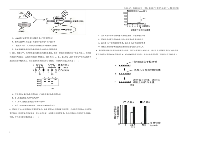 《生物（河南卷01）（考试版A3）_06-生物-高考总复习_专项复习_2025年_2025年高考押题预测卷（多地区）生物》第2页预览