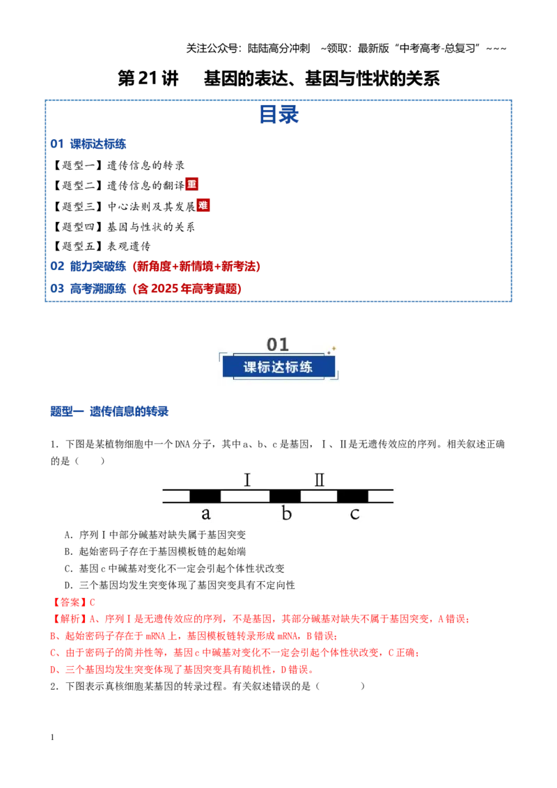 《第21讲基因的表达、基因与性状的关系（专项训练）（教师版）_06-生物-高考总复习_一轮复习_2026年-生物高考一轮复习_2026年高考生物一轮复习讲义+练习+课件（新教材新高考）-G55_2026版》第1页预览