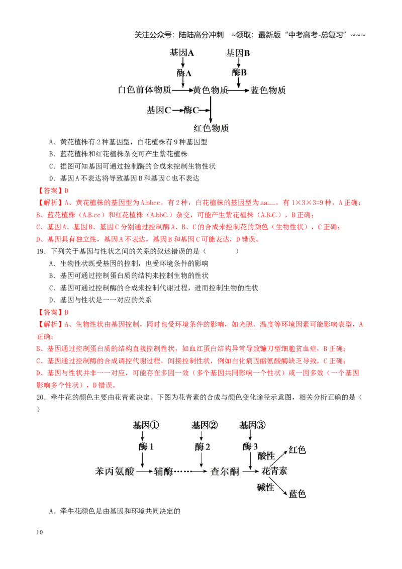 《第21讲基因的表达、基因与性状的关系（专项训练）（教师版）_06-生物-高考总复习_一轮复习_2026年-生物高考一轮复习_2026年高考生物一轮复习讲义+练习+课件（新教材新高考）-G55_2026版》第10页预览