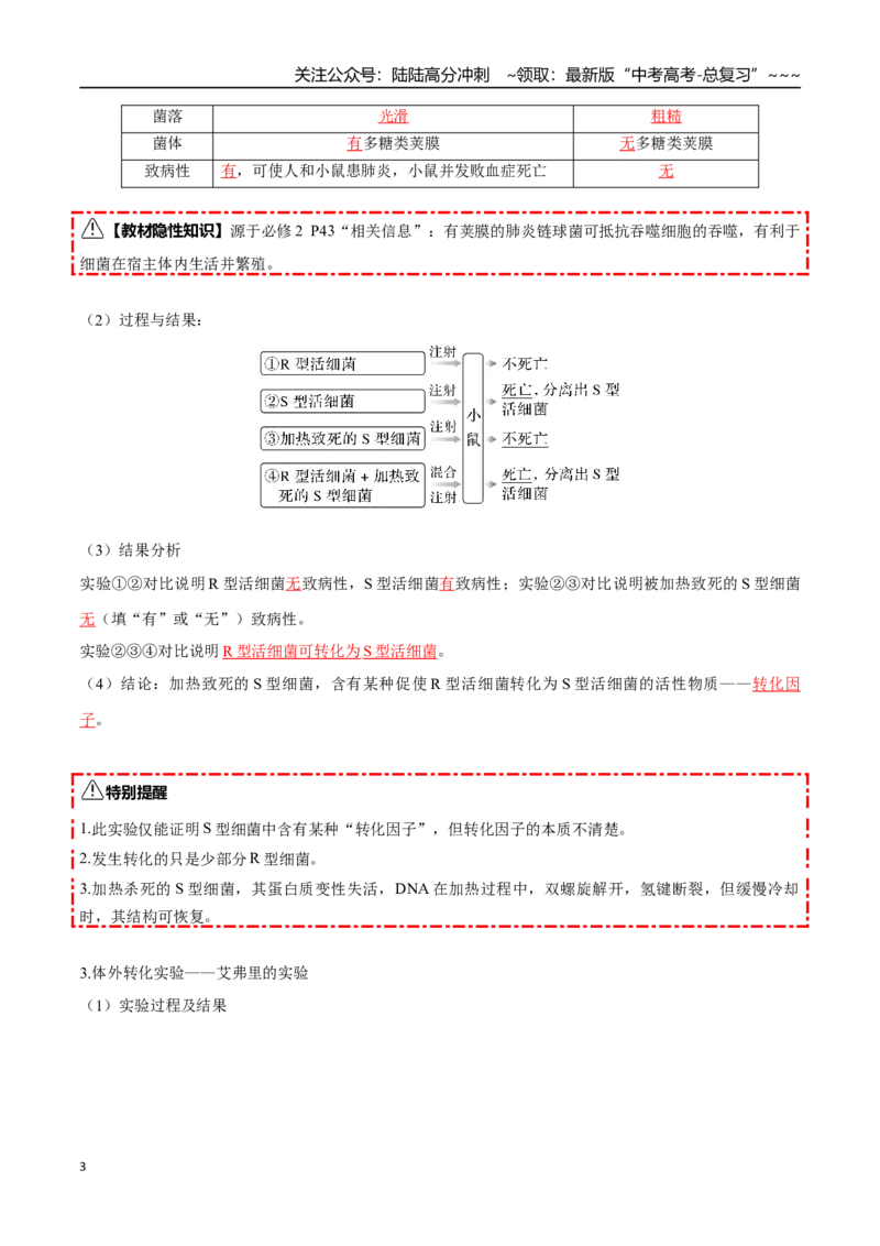 《第19讲DNA是主要的遗传物质（知识清单）（全国通用）（教师版）_06-生物-高考总复习_一轮复习_2026年-生物高考一轮复习_2026年高考生物一轮复习知识清单（全国通用）-G56_2026版》第3页预览