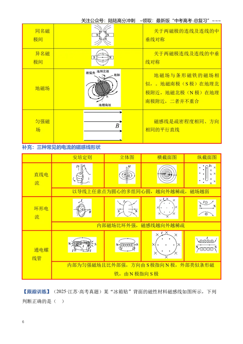 《专题12磁场（知识清单）（全国通用）（教师版）_04-物理-高考总复习_一轮复习_2026年-物理高考一轮复习_2026年高考物理一轮复习讲义+练习+课件（新教材新高考）-G55_2026版_第十一章磁场》第6页预览