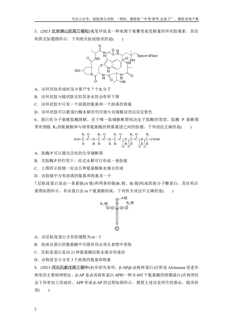 《第1单元　课时练3　蛋白质是生命活动的主要承担者_06-生物-高考总复习_一轮复习_2024年_2024高考生物大一轮复习课件讲义新人教版知识总结_2024年高考生物一轮复习讲义（新人教版）》第2页预览