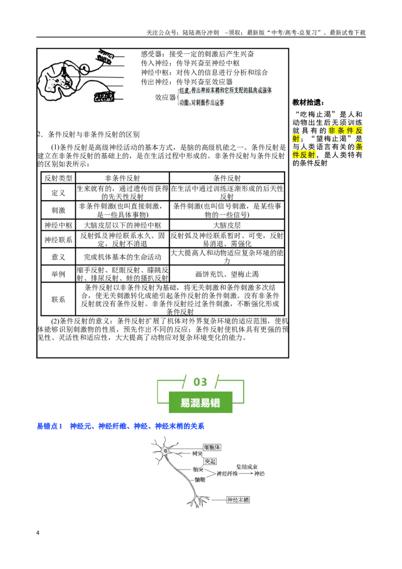 《知识清单20神经调节的结构基础与基本方式（2大考点+5个易错点）_06-生物-高考总复习_一轮复习_2025年_2025年高考生物一轮复习知识清单（全国通用）》第4页预览