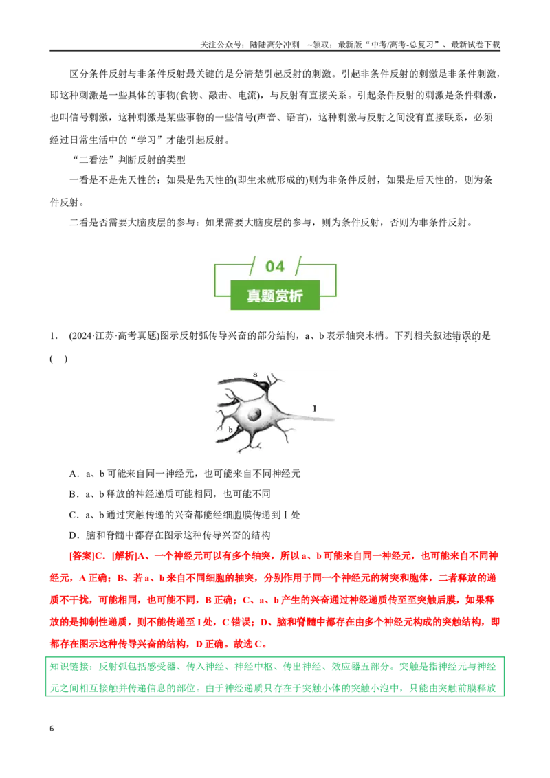 《知识清单20神经调节的结构基础与基本方式（2大考点+5个易错点）_06-生物-高考总复习_一轮复习_2025年_2025年高考生物一轮复习知识清单（全国通用）》第6页预览