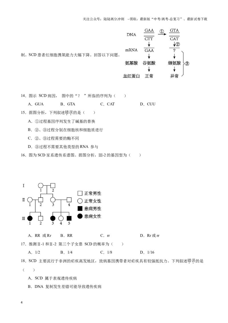 《专题11基因突变及其他变异（学生版）_06-生物-高考总复习_专项复习_2025年_2025年高中学业水平合格考生物真题分类汇编（全国通用）》第4页预览