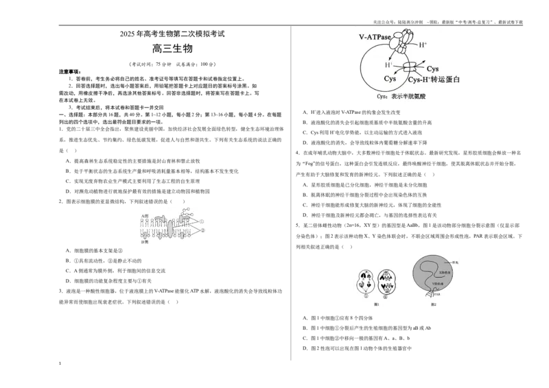 《生物（广东卷02）（考试版A3）_06-生物-高考总复习_二轮复习_2025年_2025年高考生物第二次模拟卷26套_生物（广东卷02）_生物（广东卷02）-学易金卷：2025年高考第二次模拟考试》第1页预览