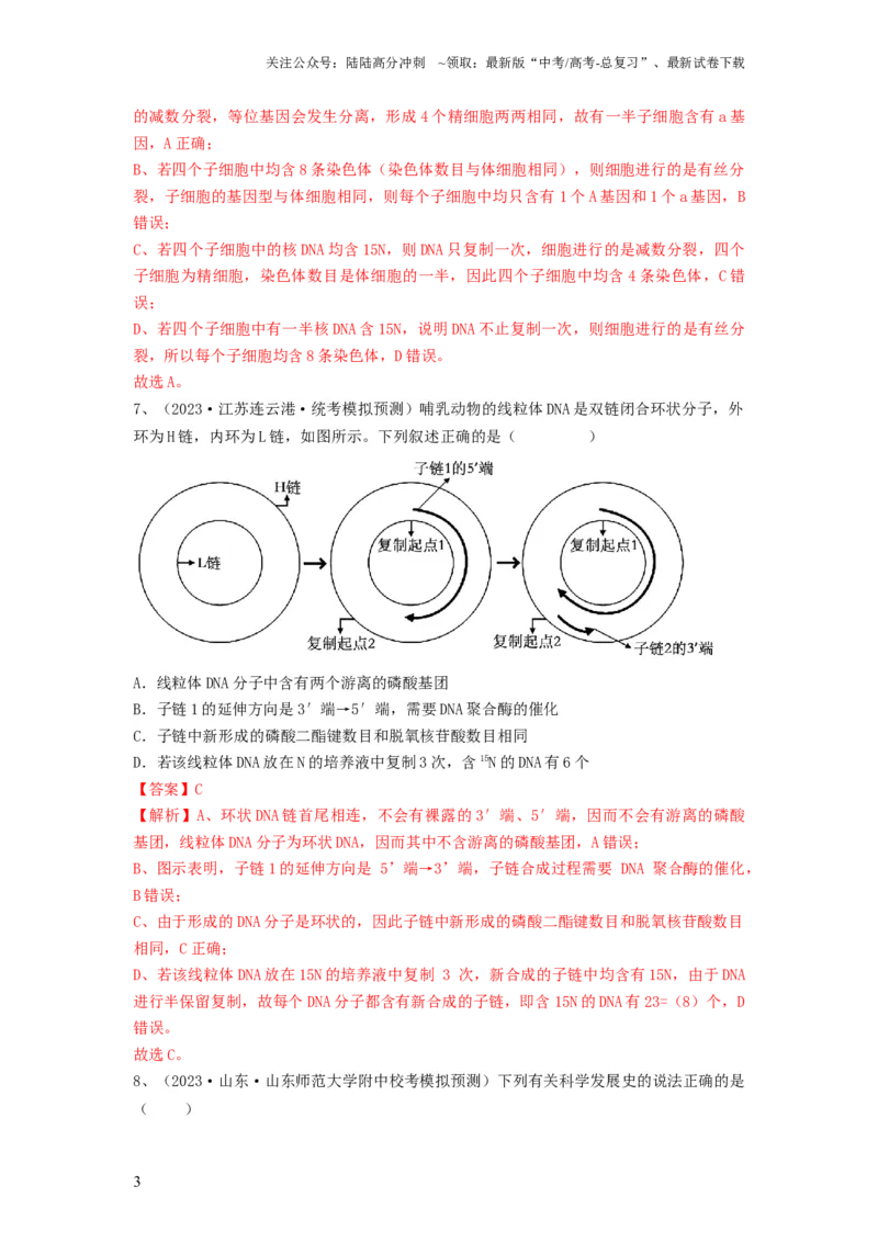 《专题18DNA分子的结构、复制及基因的本质（精练）（解析版）_06-生物-高考总复习_一轮复习_2024年_2024年高考生物一轮复习串讲精练知识点梳理练习题_精练》第3页预览