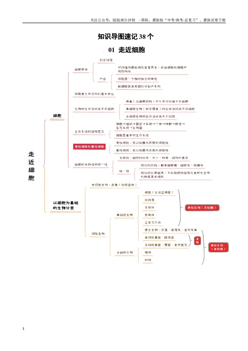 《知识导图速记38个_06-生物-高考总复习_一轮复习_2025年_2025年高考生物一轮复习知识清单（全国通用）》第1页预览