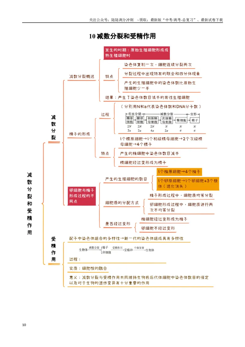 《知识导图速记38个_06-生物-高考总复习_一轮复习_2025年_2025年高考生物一轮复习知识清单（全国通用）》第10页预览
