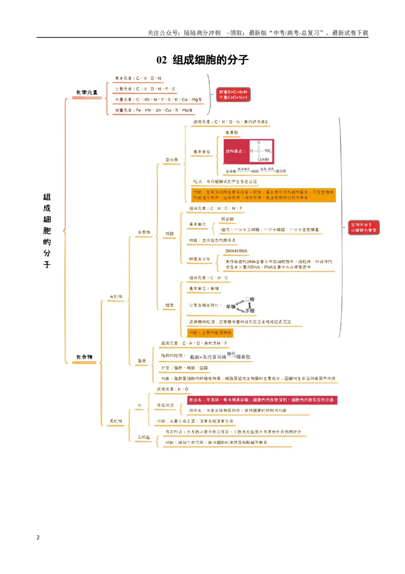 《知识导图速记38个_06-生物-高考总复习_一轮复习_2025年_2025年高考生物一轮复习知识清单（全国通用）》第2页预览