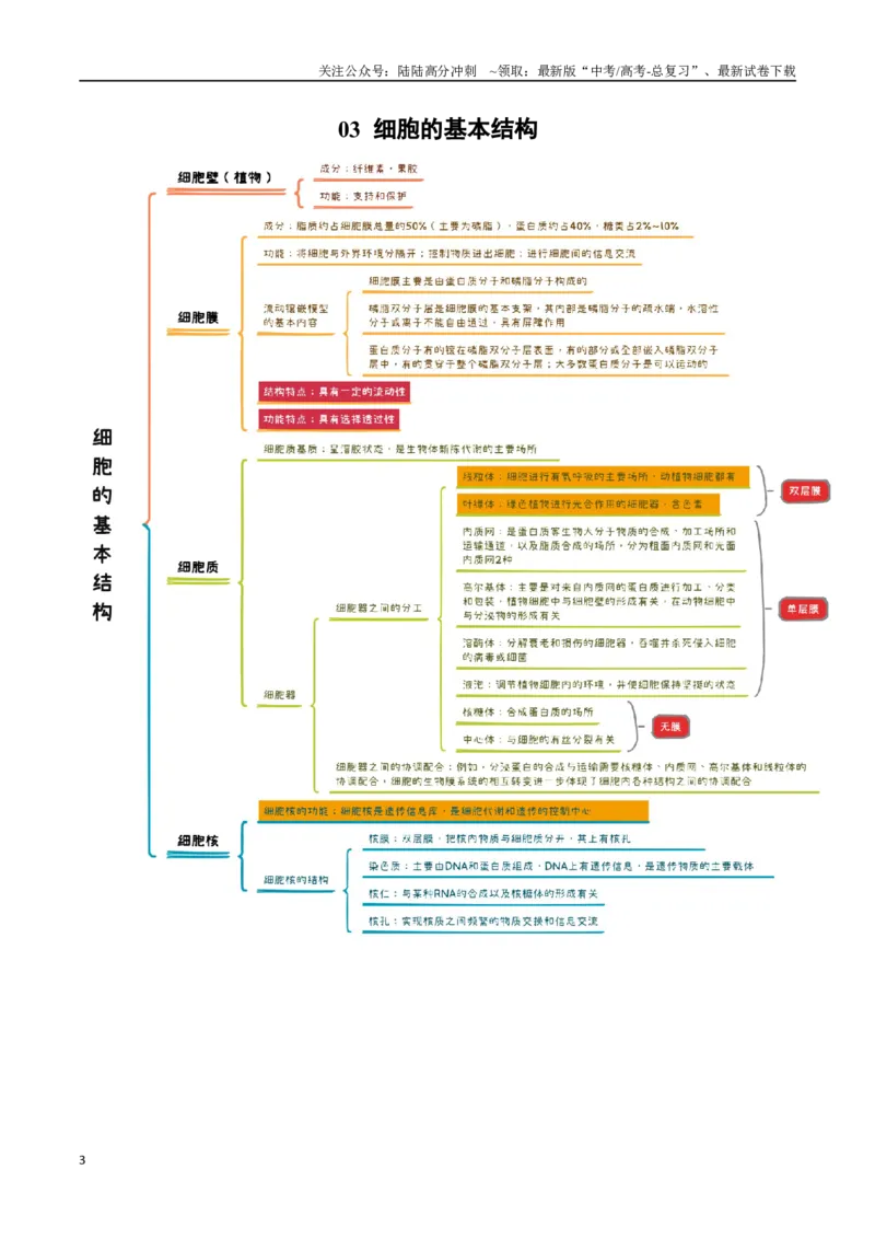 《知识导图速记38个_06-生物-高考总复习_一轮复习_2025年_2025年高考生物一轮复习知识清单（全国通用）》第3页预览