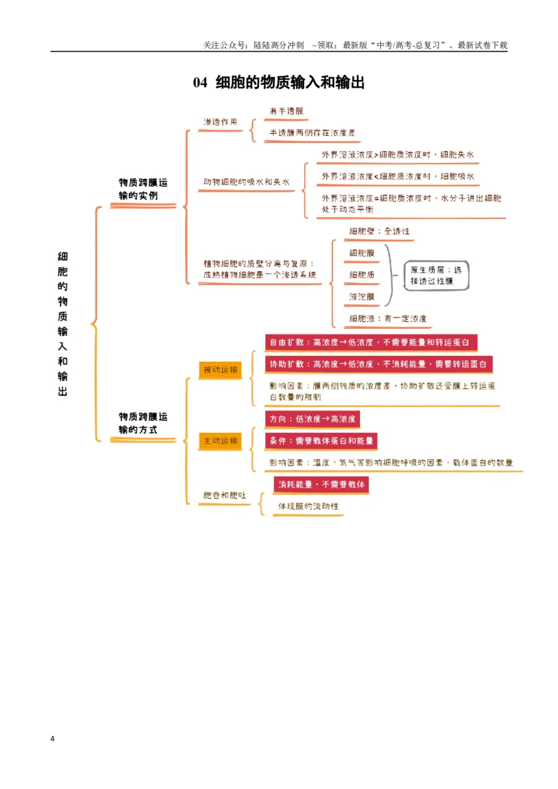 《知识导图速记38个_06-生物-高考总复习_一轮复习_2025年_2025年高考生物一轮复习知识清单（全国通用）》第4页预览
