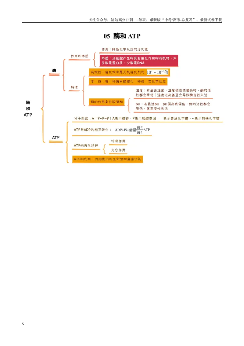 《知识导图速记38个_06-生物-高考总复习_一轮复习_2025年_2025年高考生物一轮复习知识清单（全国通用）》第5页预览