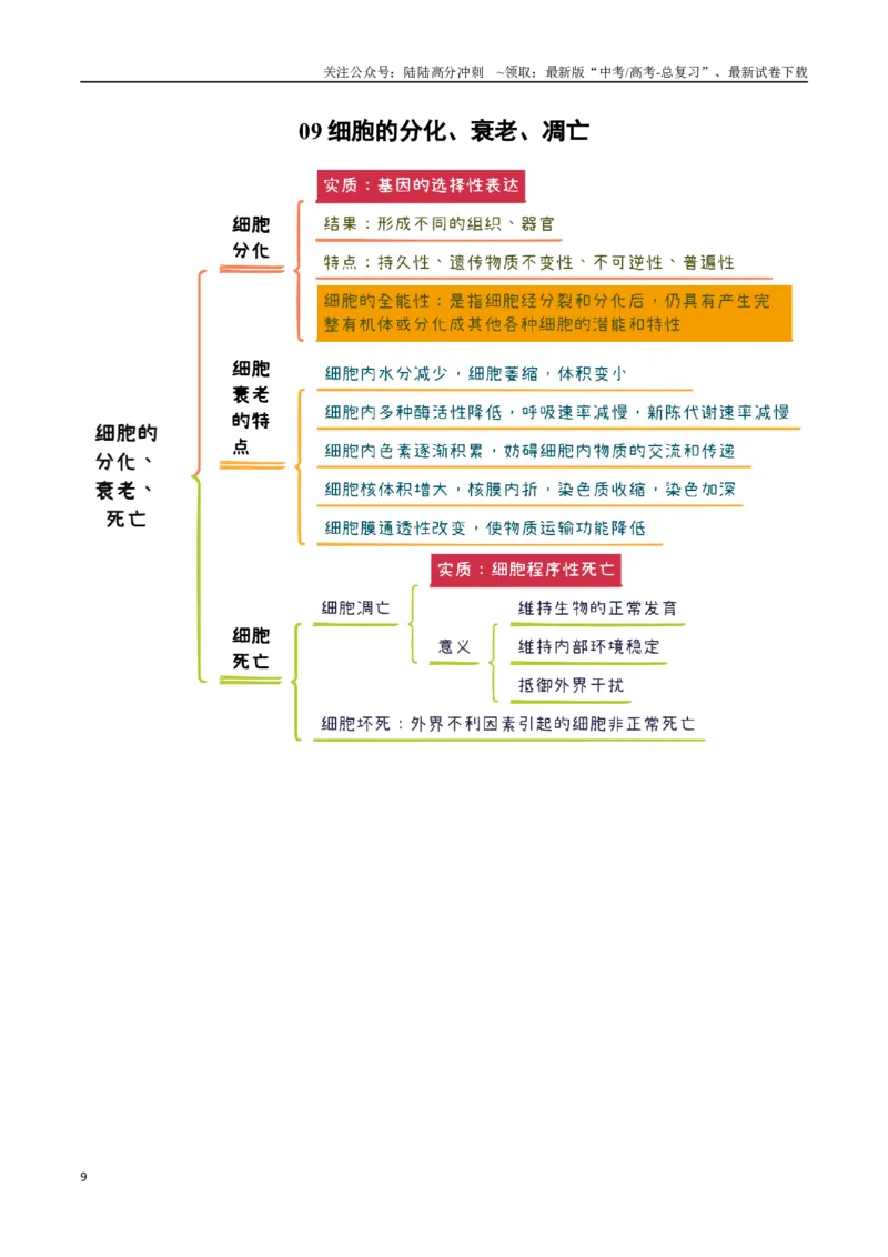《知识导图速记38个_06-生物-高考总复习_一轮复习_2025年_2025年高考生物一轮复习知识清单（全国通用）》第9页预览
