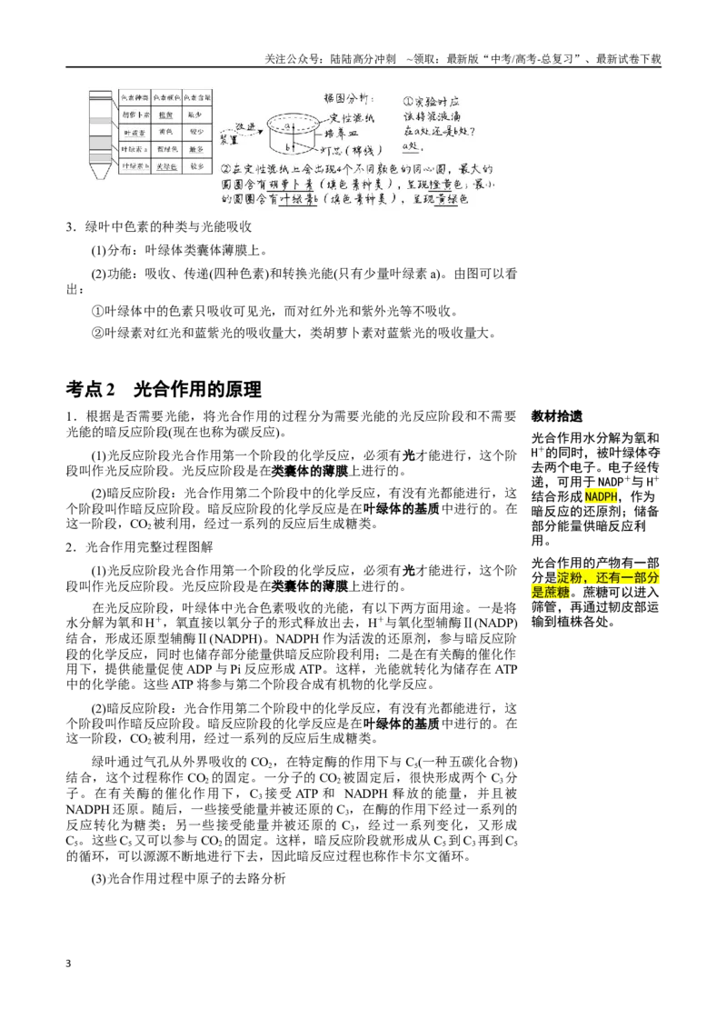 《知识清单07光合作用（4大考点+6个易错点）_06-生物-高考总复习_一轮复习_2025年_2025年高考生物一轮复习知识清单（全国通用）》第3页预览