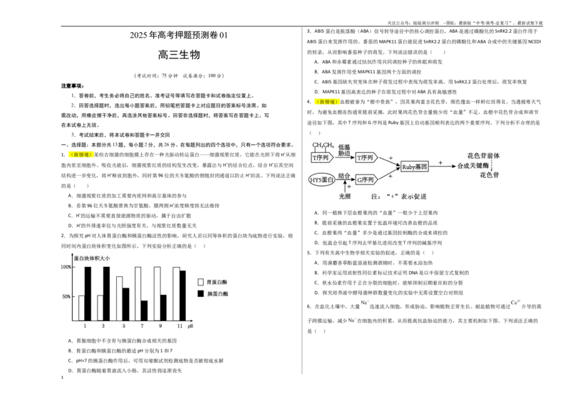 《生物（河北卷01）（考试版A3）_06-生物-高考总复习_专项复习_2025年_2025年高考押题预测卷（多地区）生物》第1页预览