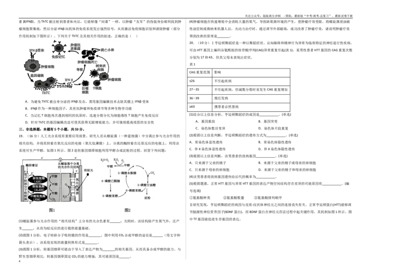 《生物（河北卷01）（考试版A3）_06-生物-高考总复习_专项复习_2025年_2025年高考押题预测卷（多地区）生物》第4页预览