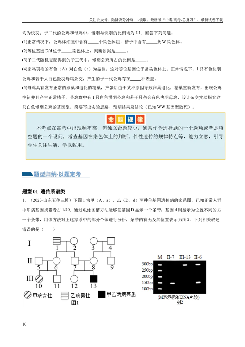 《第08讲伴性遗传和人类遗传病（讲义）（原卷版）_06-生物-高考总复习_二轮复习_2024年_2024年高考生物二轮复习讲练测（新教材新高考）_配套讲义》第10页预览