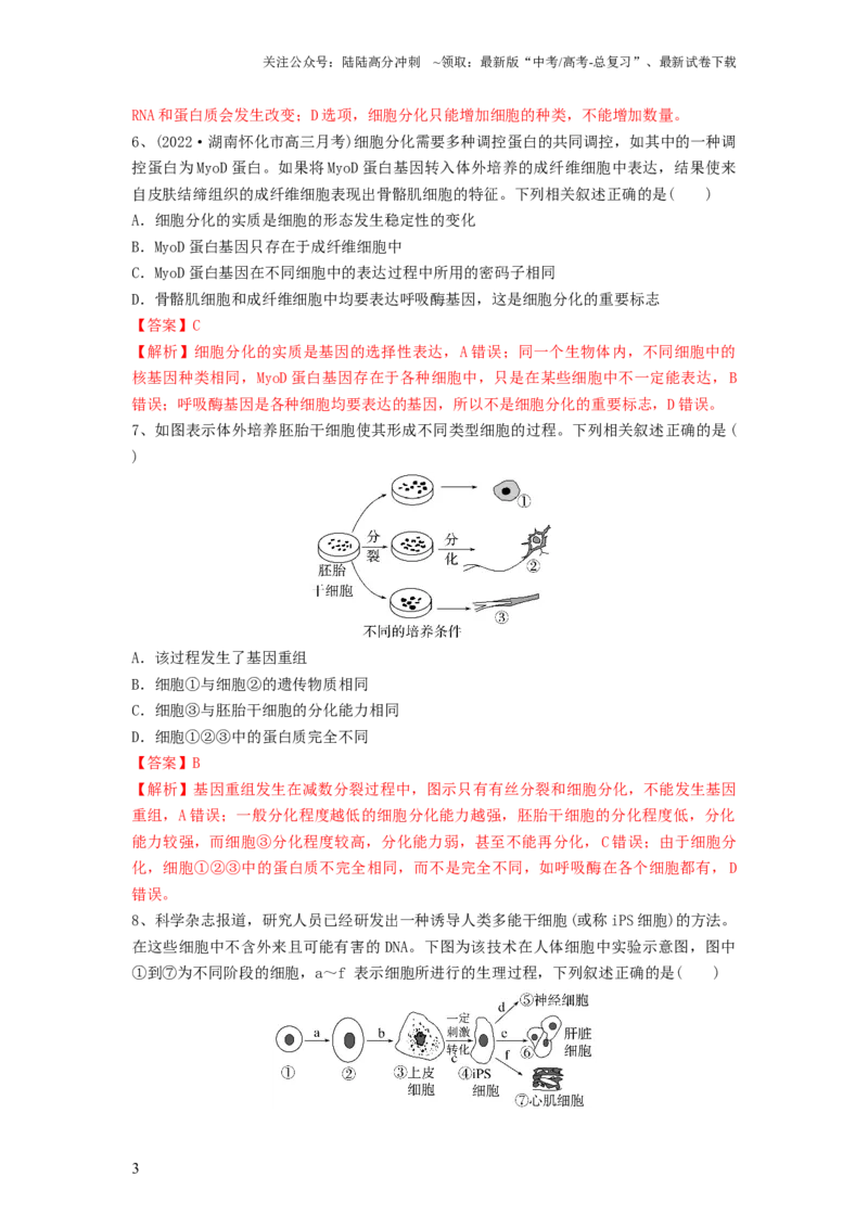 《专题13细胞的分化、衰老和死亡（精练）（解析版）_06-生物-高考总复习_一轮复习_2024年_2024年高考生物一轮复习串讲精练知识点梳理练习题_精练》第3页预览