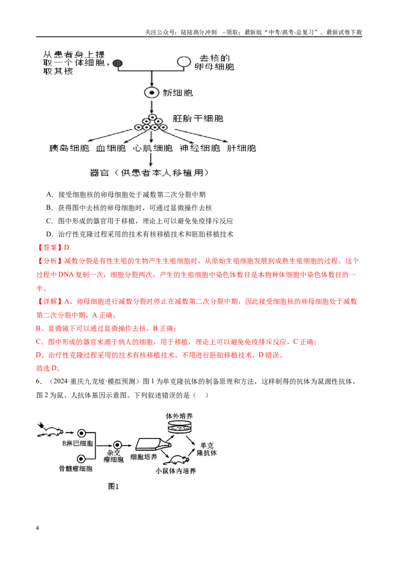 《专题13细胞工程（解析版）_06-生物-高考总复习_专项复习_2024年_2024年高考生物重难压轴题型考前终极押题_资料》第4页预览