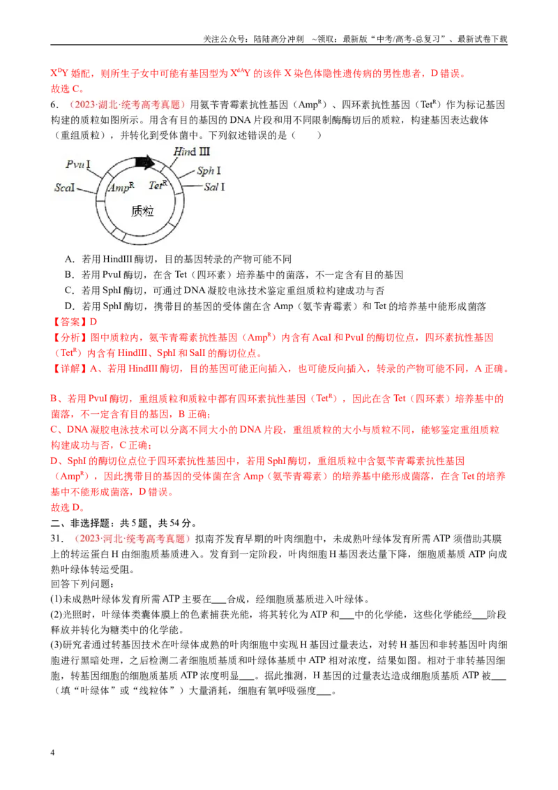 《真题重组卷01（全国卷新教材）（解析版）_06-生物-高考总复习_二轮复习_2024年_2024年高考生物真题重组卷二模（全国卷）》第4页预览