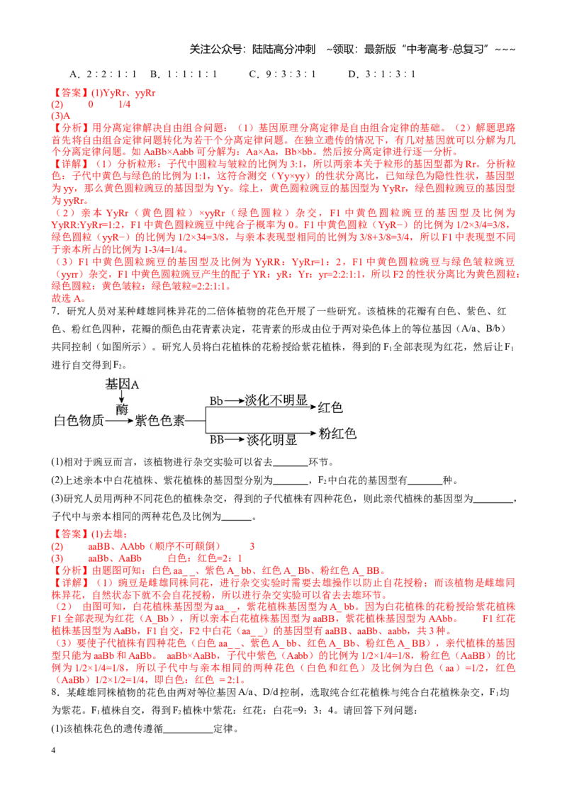 《第16讲自由组合定律（专项训练）（教师版）_06-生物-高考总复习_一轮复习_2026年-生物高考一轮复习_2026年高考生物一轮课件+讲义+练习（湖南专用）-G331》第4页预览