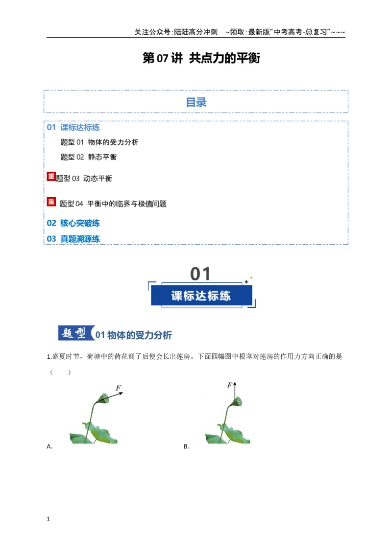 《第07讲共点力的平衡（专项训练）（四川专用）（教师版）_04-物理-高考总复习_一轮复习_2026年-物理高考一轮复习_2026年高考物理一轮课件+讲义+练习（四川专用）-G335》第1页预览