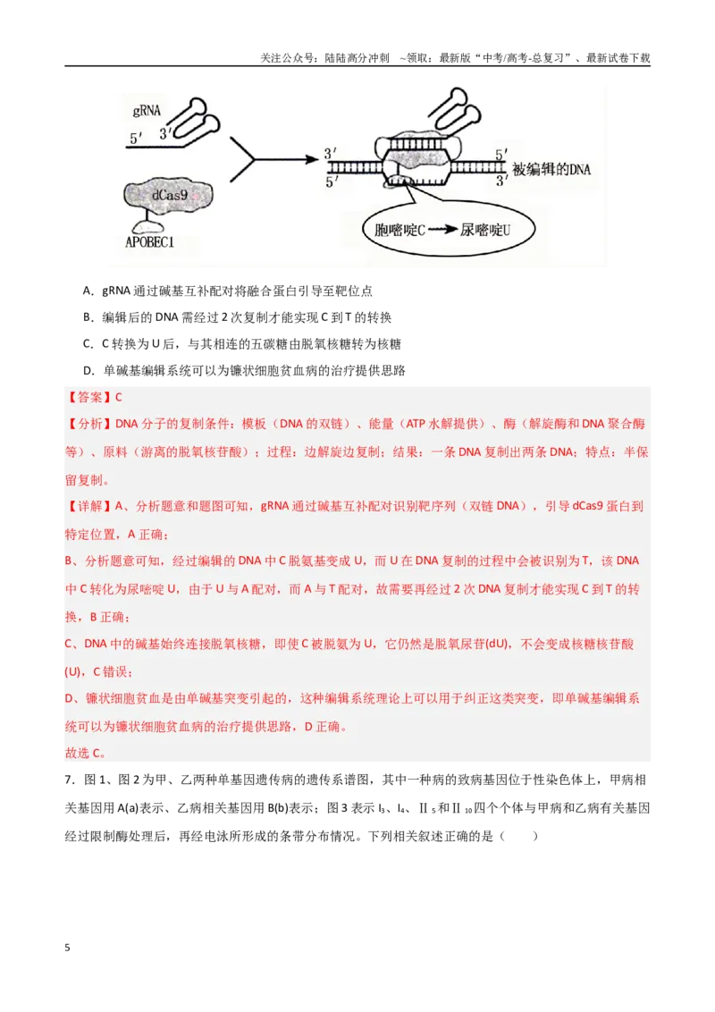 《生物（河南卷01）（全解全析）_06-生物-高考总复习_专项复习_2025年_2025年高考押题预测卷（多地区）生物》第5页预览