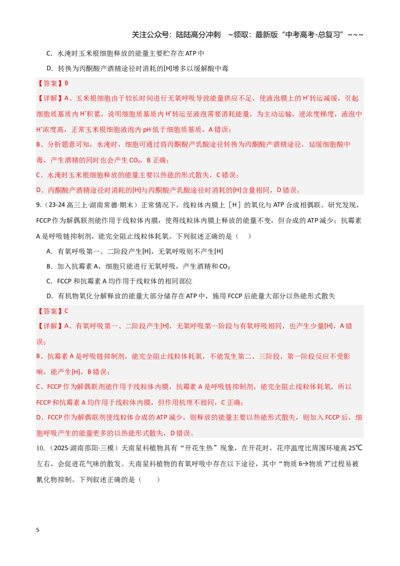 《第09讲细胞呼吸（专项训练）（湖南专用）（教师版）_06-生物-高考总复习_一轮复习_2026年-生物高考一轮复习_2026年高考生物一轮课件+讲义+练习（湖南专用）-G331》第5页预览