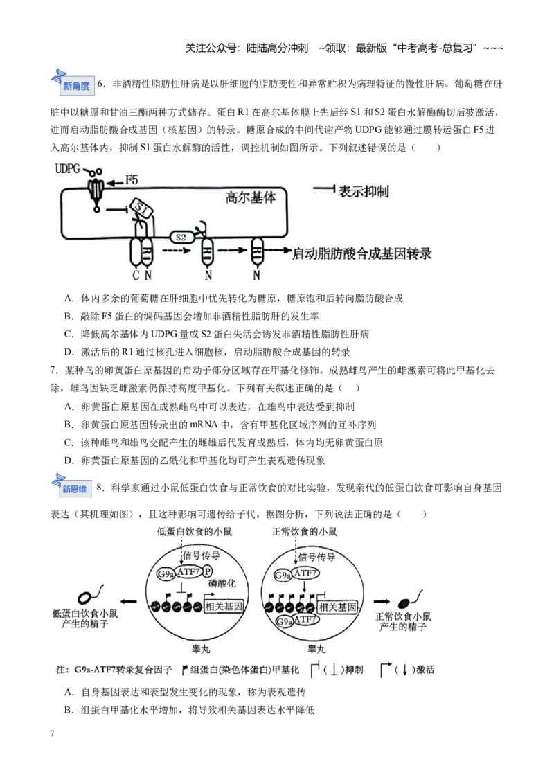 《第19讲基因的表达、基因与性状的关系（专项训练）（黑吉辽蒙专用）（学生版）_06-生物-高考总复习_一轮复习_2026年-生物高考一轮复习》第7页预览