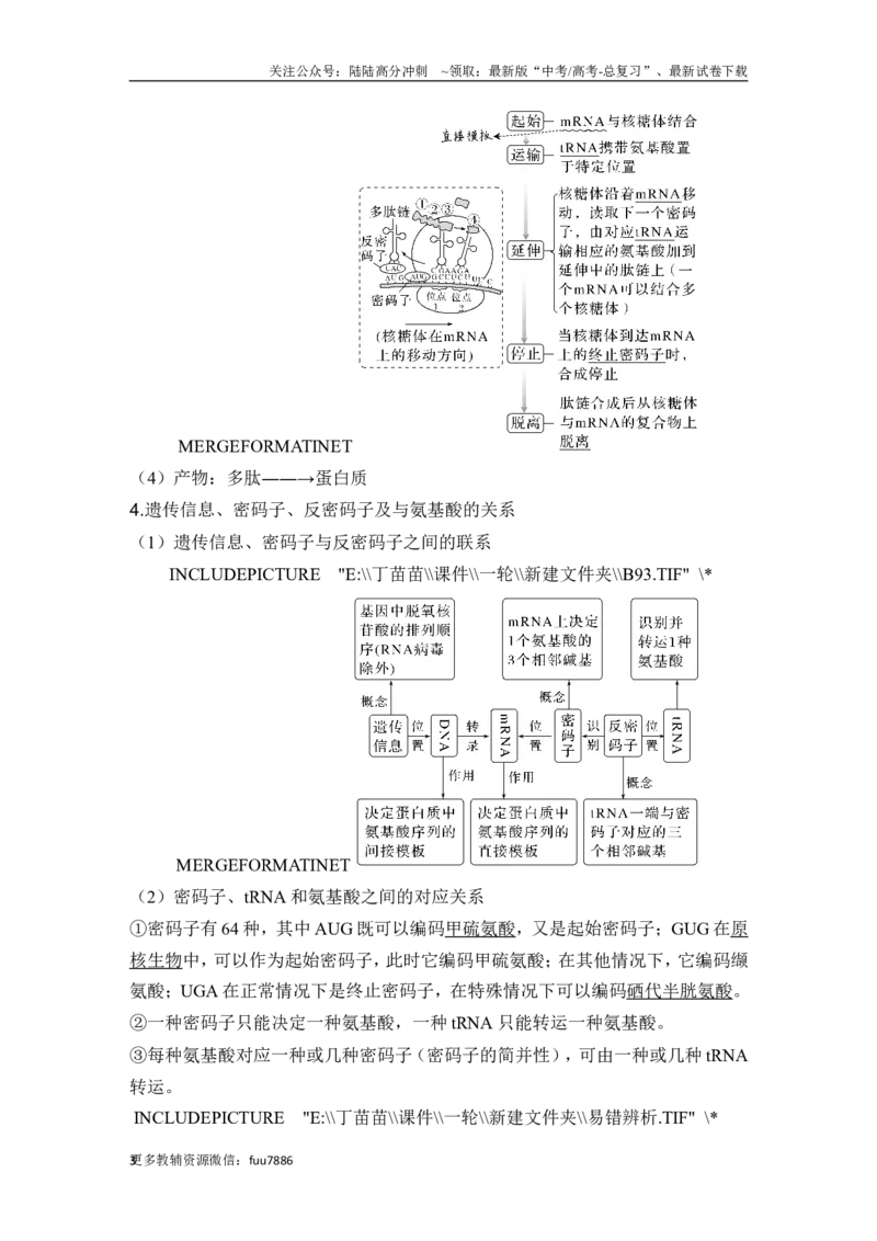 《第18讲基因的表达_06-生物-高考总复习_一轮复习_2024年_2024高考生物大一轮复习课件讲义新人教版知识总结_2024年高考生物一轮复习讲义（新人教版）_另赠1套Word版题库_必修2》第3页预览