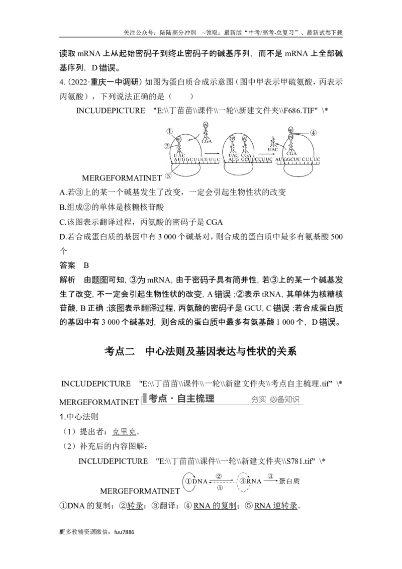 《第18讲基因的表达_06-生物-高考总复习_一轮复习_2024年_2024高考生物大一轮复习课件讲义新人教版知识总结_2024年高考生物一轮复习讲义（新人教版）_另赠1套Word版题库_必修2》第8页预览