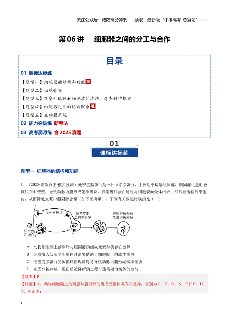 《第06讲细胞器之间的分工与合作（专项训练）（安徽专用）（教师版）_06-生物-高考总复习_一轮复习_2026年-生物高考一轮复习_2026年高考生物一轮课件+讲义+练习（安徽专用）-G326》第1页预览
