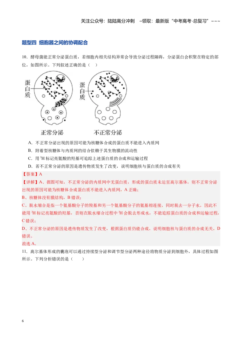 《第06讲细胞器之间的分工与合作（专项训练）（安徽专用）（教师版）_06-生物-高考总复习_一轮复习_2026年-生物高考一轮复习_2026年高考生物一轮课件+讲义+练习（安徽专用）-G326》第6页预览