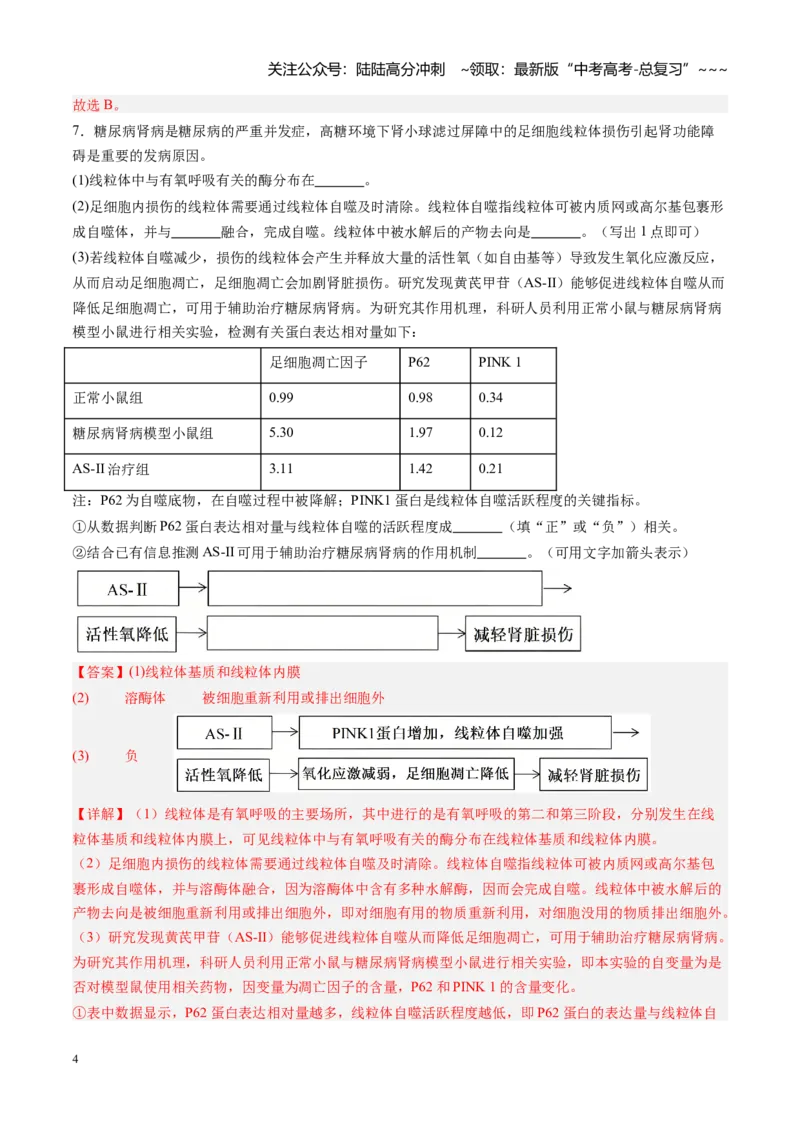《第15讲细胞的分化、衰老和死亡（专项训练）（福建专用）（教师版）_06-生物-高考总复习_一轮复习_2026年-生物高考一轮复习_2026年高考生物一轮课件+讲义+练习（福建专用）-G328》第4页预览