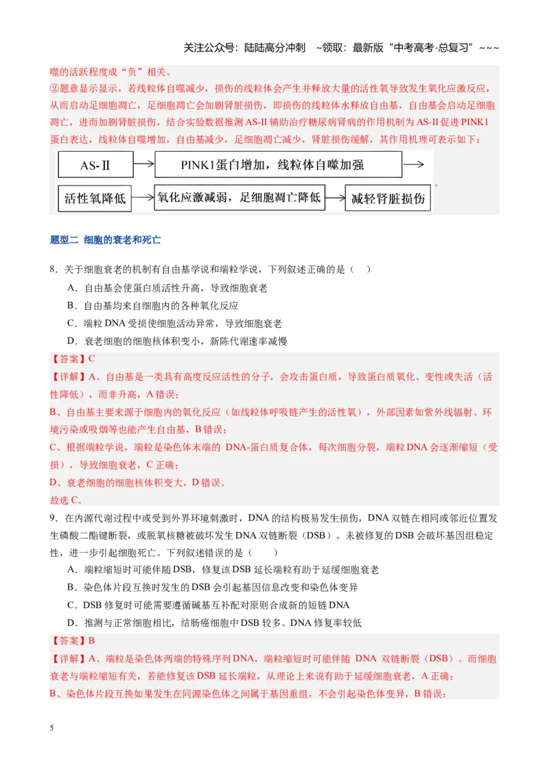 《第15讲细胞的分化、衰老和死亡（专项训练）（福建专用）（教师版）_06-生物-高考总复习_一轮复习_2026年-生物高考一轮复习_2026年高考生物一轮课件+讲义+练习（福建专用）-G328》第5页预览