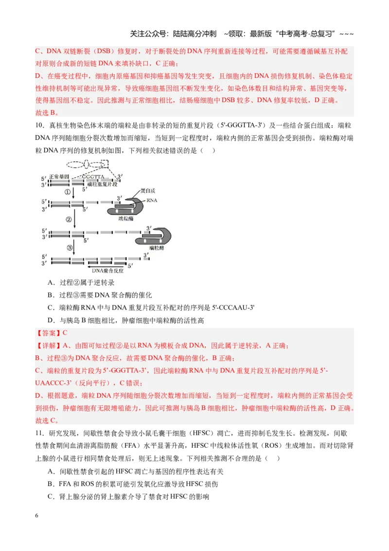 《第15讲细胞的分化、衰老和死亡（专项训练）（福建专用）（教师版）_06-生物-高考总复习_一轮复习_2026年-生物高考一轮复习_2026年高考生物一轮课件+讲义+练习（福建专用）-G328》第6页预览