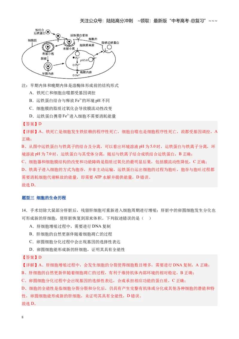 《第15讲细胞的分化、衰老和死亡（专项训练）（福建专用）（教师版）_06-生物-高考总复习_一轮复习_2026年-生物高考一轮复习_2026年高考生物一轮课件+讲义+练习（福建专用）-G328》第8页预览
