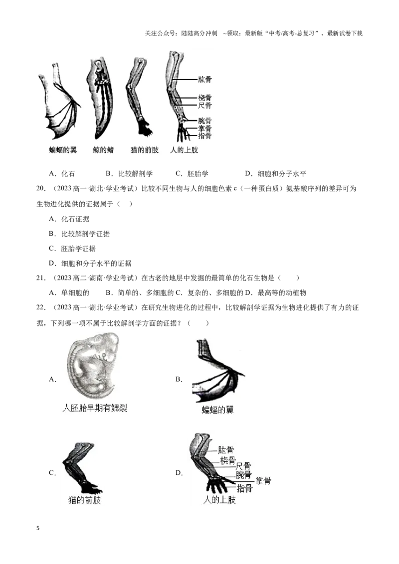 《专题12生物的进化（学生版）_06-生物-高考总复习_专项复习_2025年_2025年高中学业水平合格考生物真题分类汇编（全国通用）》第5页预览