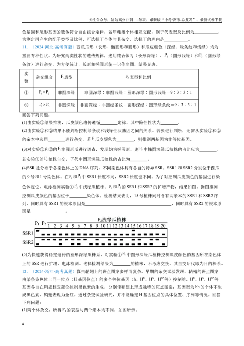 《专题11基因的分离定律-（全国通用）（原卷版）_06-生物-高考总复习_专项复习_2025年_十年（2015-2024）高考生物真题分类汇编（全国通用）》第4页预览