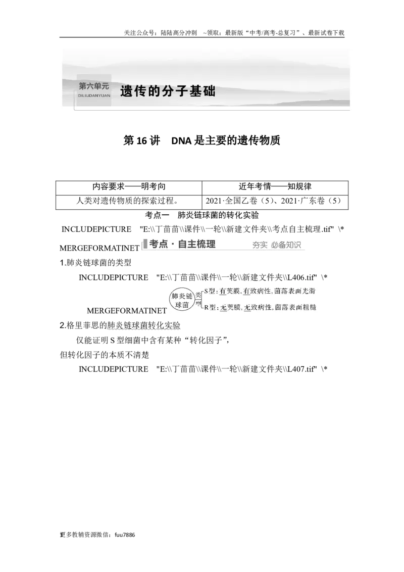 《第16讲DNA是主要的遗传物质_06-生物-高考总复习_一轮复习_2024年_2024高考生物大一轮复习课件讲义新人教版知识总结_2024年高考生物一轮复习讲义（新人教版）_另赠1套Word版题库_必修2》第1页预览
