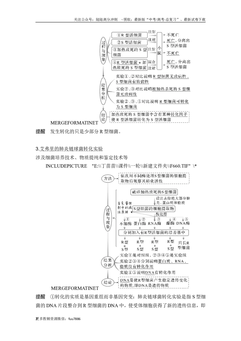 《第16讲DNA是主要的遗传物质_06-生物-高考总复习_一轮复习_2024年_2024高考生物大一轮复习课件讲义新人教版知识总结_2024年高考生物一轮复习讲义（新人教版）_另赠1套Word版题库_必修2》第2页预览